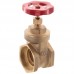 Засувка клинова СК 2" (SK0107) Засувка клинова СК 2" (SK0107)